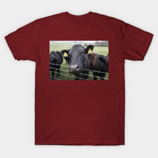 Here's Looking At Moo, Kid T-Shirt